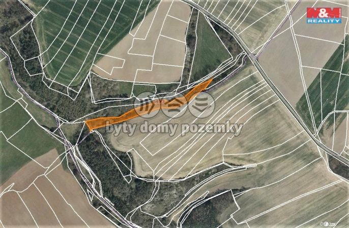 Prodej, Les, Dobříč