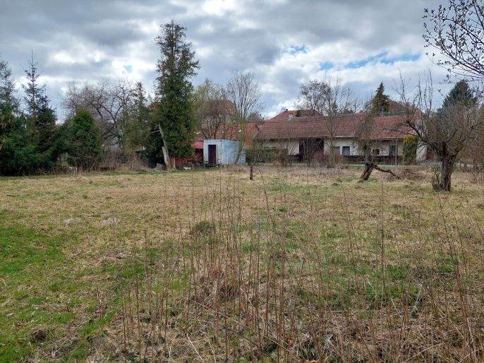 Prodej, Zahrada, Kořenice