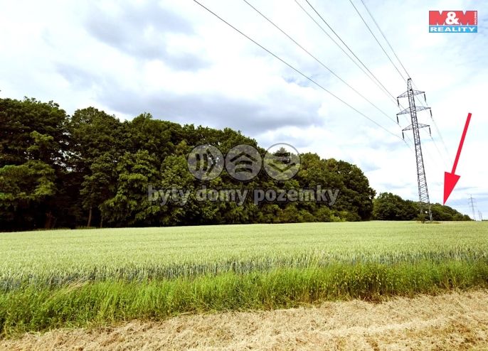 Prodej, Louka, Bělotín