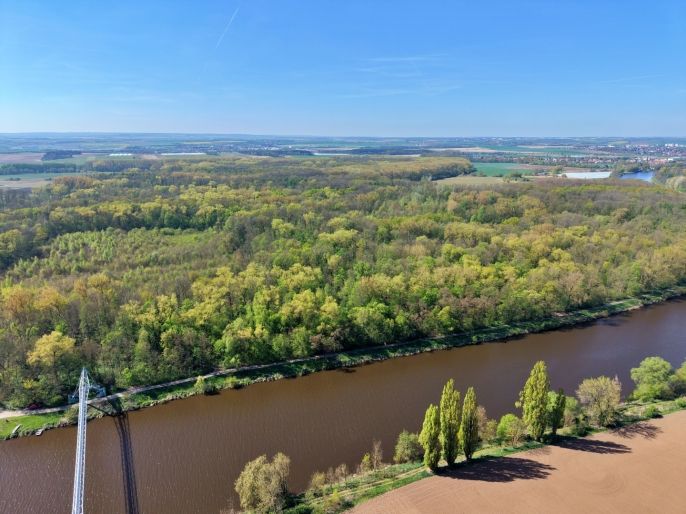 Prodej, Les, Přerov nad Labem