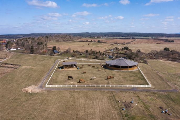 Prodej, Pastvina, Tymákov