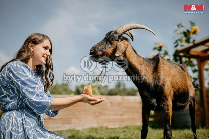Prodej, Komerční pozemky, Sušice