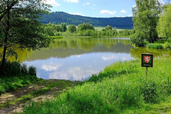 Prodej, Pozemek k bydlení, Toužim