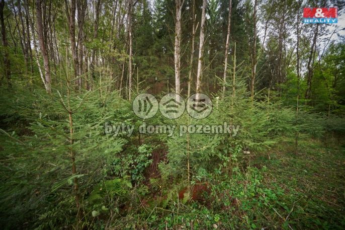 Prodej, Pozemek k bydlení, Trutnov