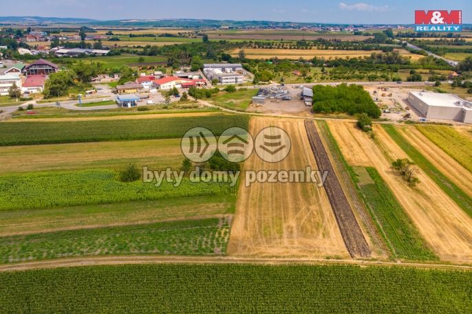 Prodej, Pole, Podivín