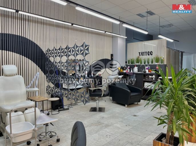 Pronájem, Obchod a služby, Most