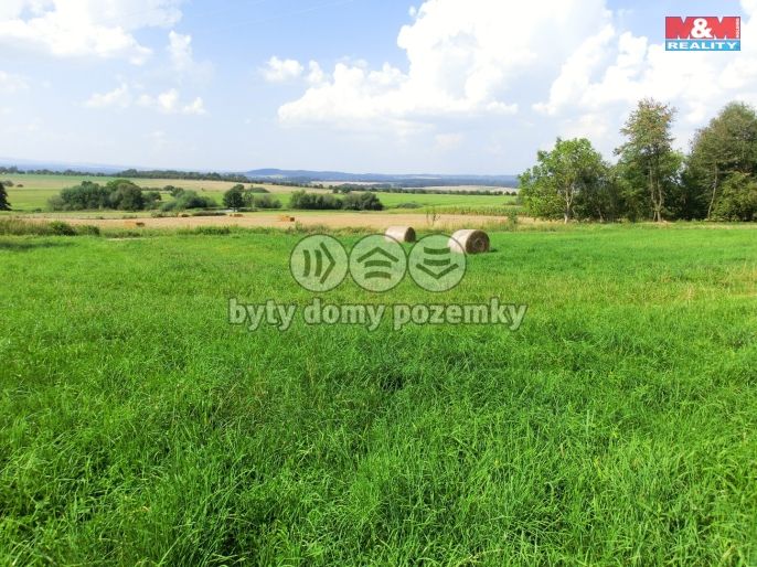 Prodej, Pozemek k bydlení, Radenín