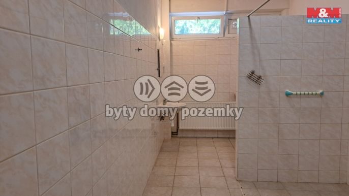 Prodej, Hotel, penzion, Práče