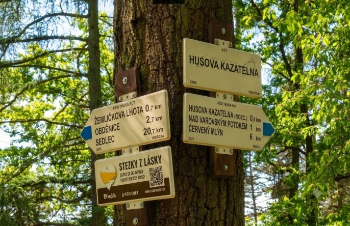 Prodej, Les, Petrovice