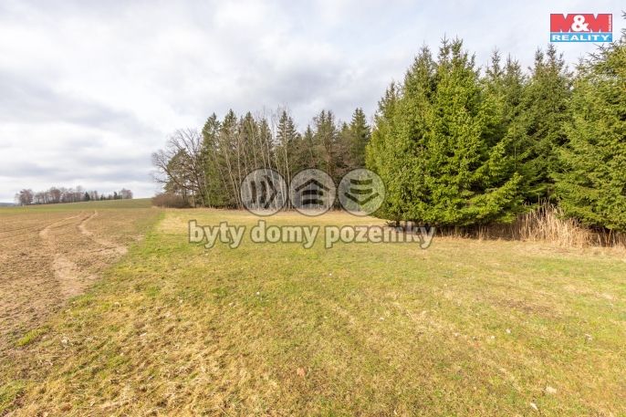 Prodej, Louka, Vysočina