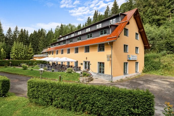 Prodej, Hotel, penzion, Geising