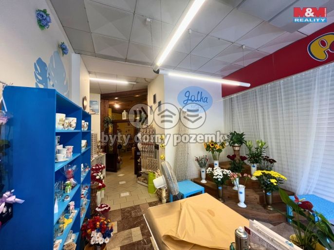 Pronájem, Obchod a služby, Bohumín