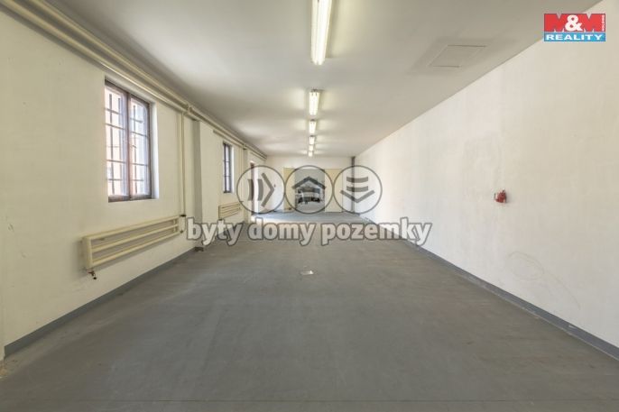 Prodej, Výrobní objekt, Kostelec nad Labem