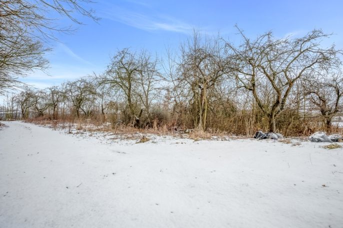 Prodej, Zahrada, Pchery