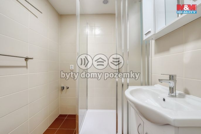 Pronájem, Byt 4+1, Plzeň