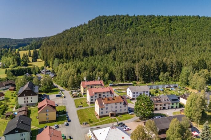 Prodej, Byt 3+1, Borová Lada
