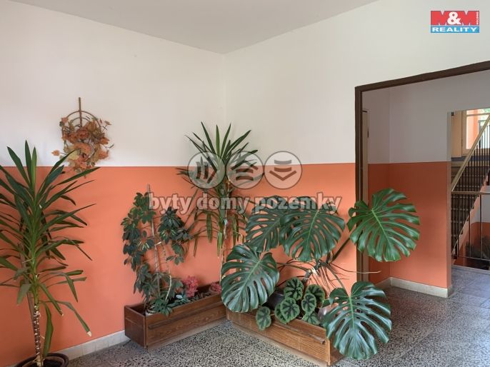 Prodej, Byt 3+1, Oskava