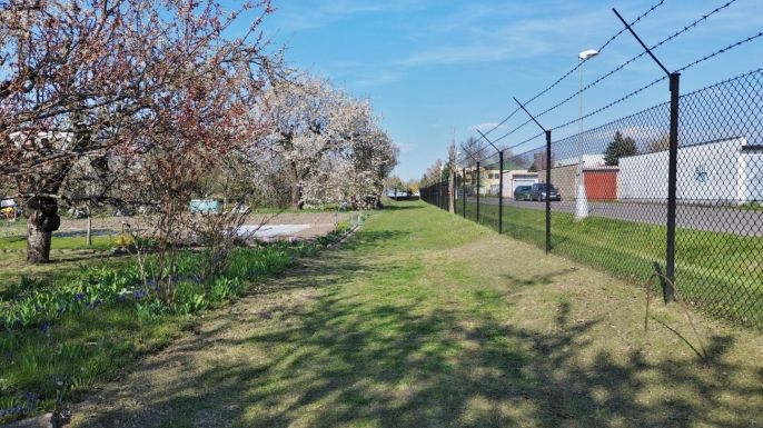 Prodej, Zahrada, Hradec Králové