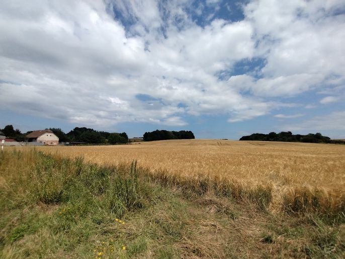 Prodej, Pozemek k bydlení, Stará Ves nad Ondřejnicí