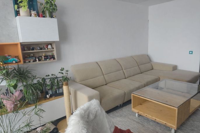 Pronájem, Byt 3+1, Lány