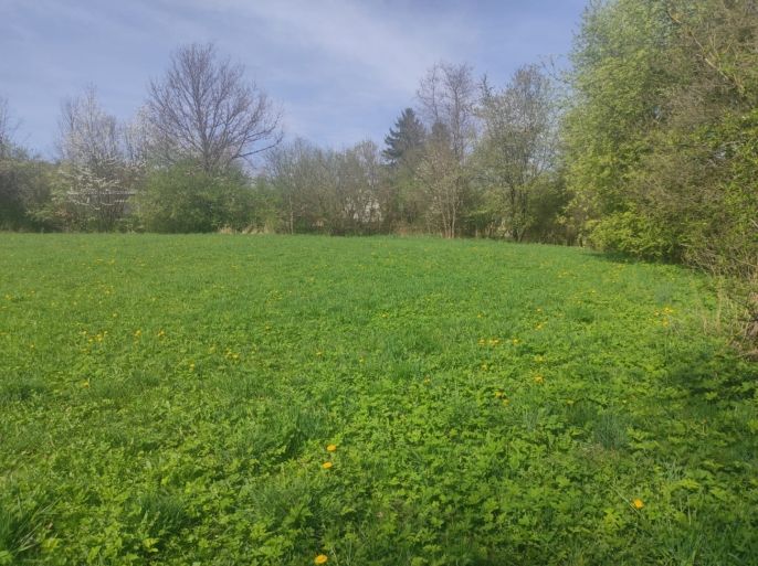 Prodej, Pozemek k bydlení, Velké Losiny