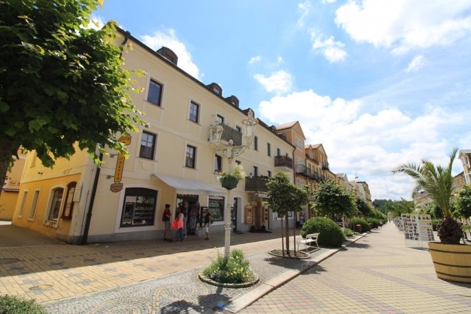 Pronájem, Byt 2+kk, Františkovy Lázně