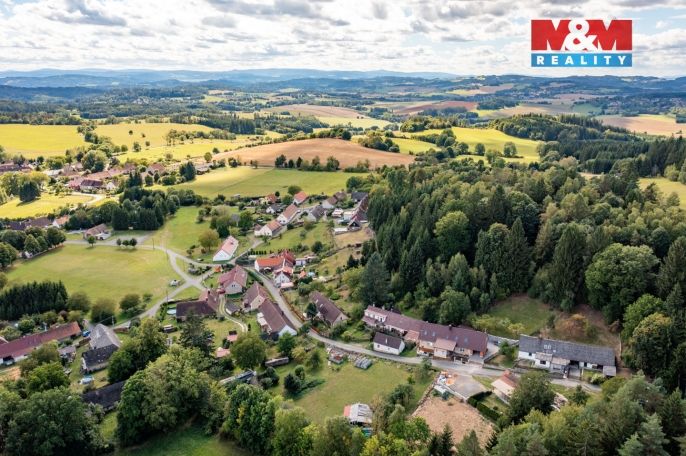 Prodej, Chalupa, Plánice