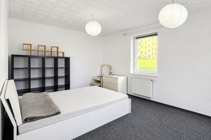 Pronájem, Byt 1+1, Nová Role