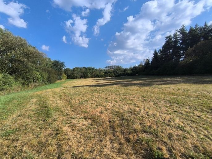 Prodej, Louka, Hoslovice