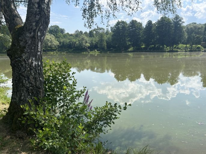 Prodej, Pozemek k bydlení, Zbraslavice