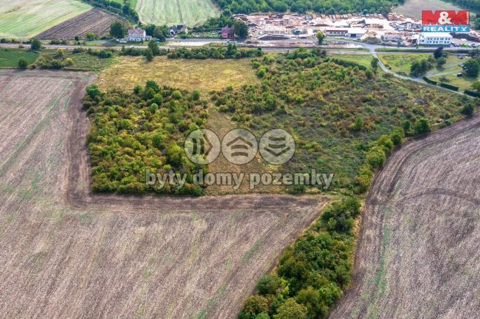 Prodej, Ovocný sad, Chotiměř