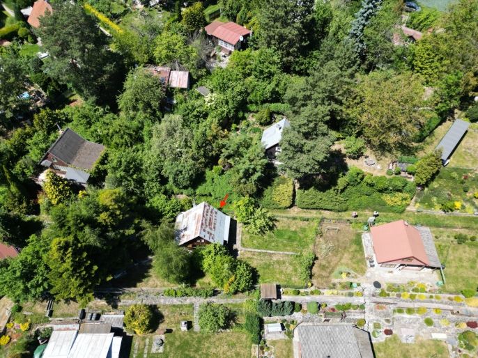 Prodej, Chata, Hluchov