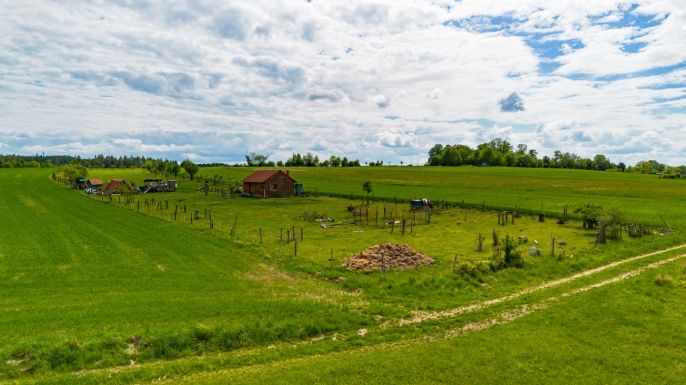 Prodej, Zahrada, Libníč