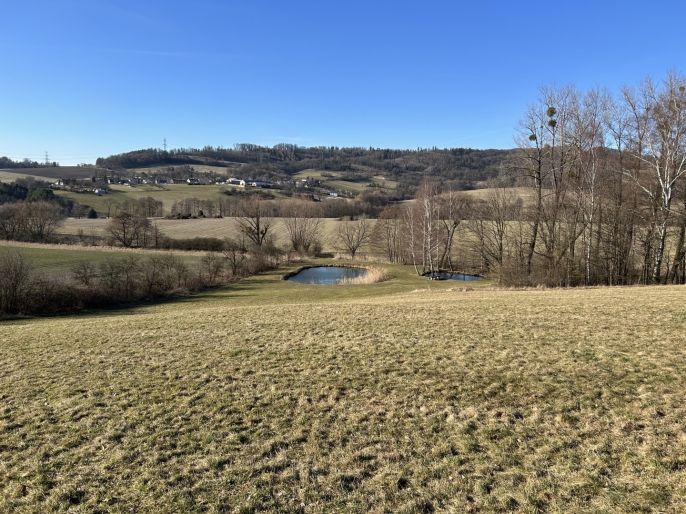 Prodej, Chata, Lešná