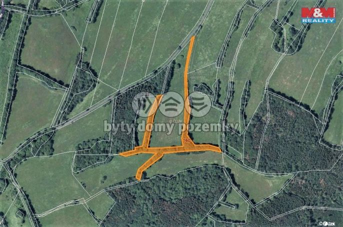 Prodej, Les, Žandov