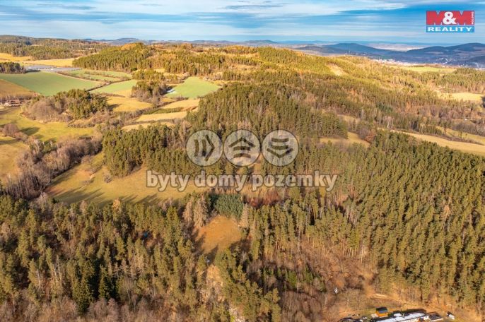 Prodej, Les, Malenice