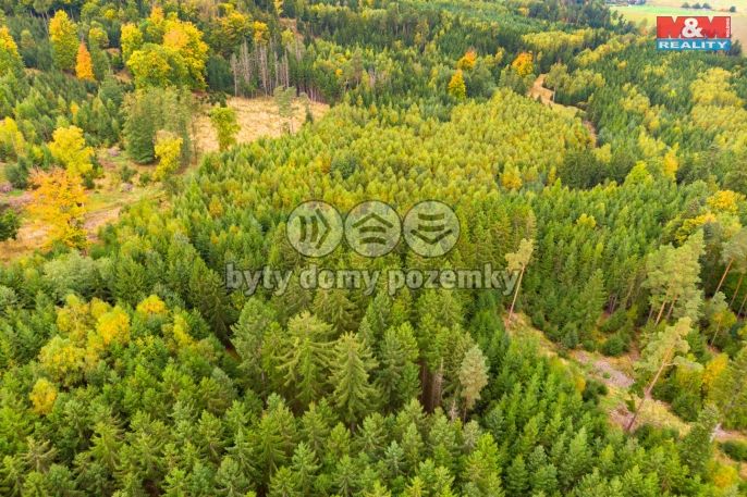 Prodej, Les, Černíkov
