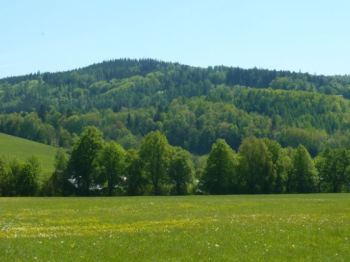 Prodej, Louka, Náchod