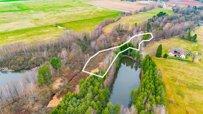 Prodej, Vodní plocha, Dvory nad Lužnicí