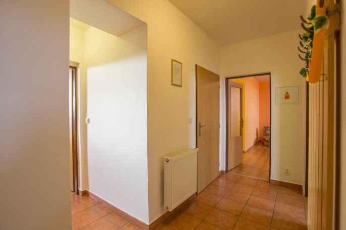 Prodej, Byt 4+1, Dolní Dunajovice