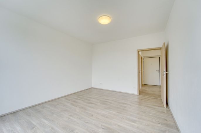 Pronájem, Byt 3+kk, Plzeň