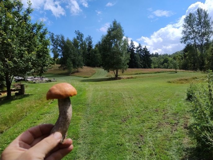 Prodej, Ostatní, Dlouhý Most
