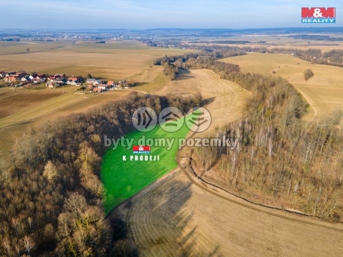 Prodej, Louka, Čistá