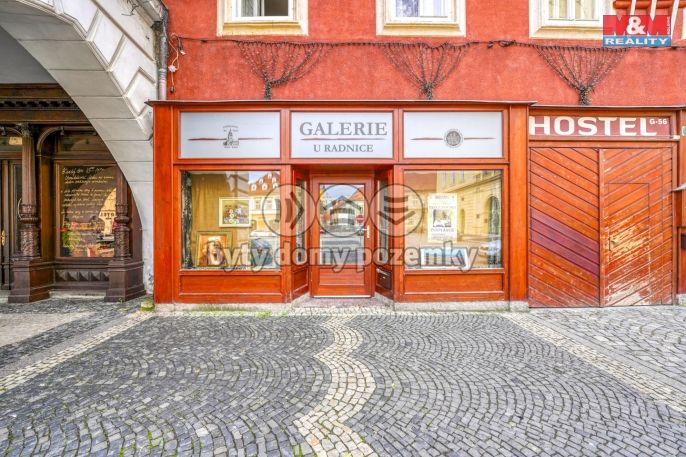 Pronájem, Obchod a služby, Žatec