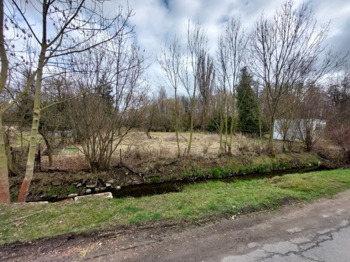 Prodej, Zahrada, Kořenice