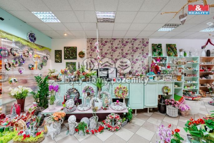 Pronájem, Obchod a služby, Třemošná