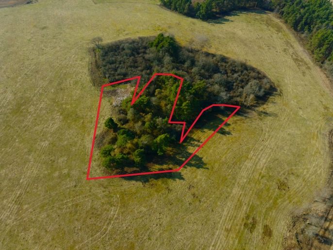 Prodej, Pole, Kladruby