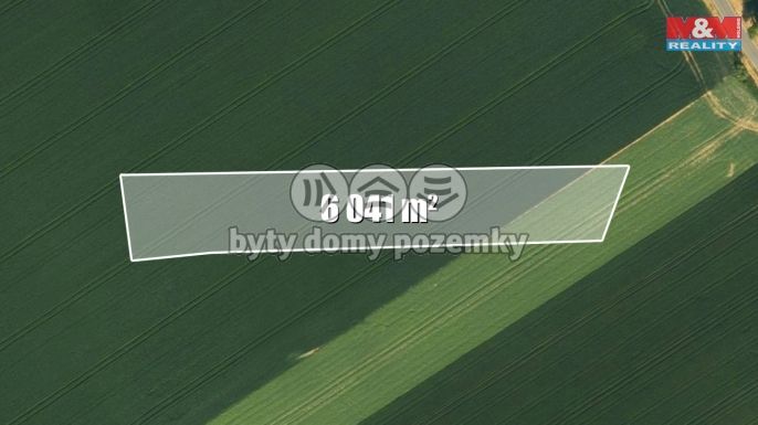 Prodej, Pole, Čistá