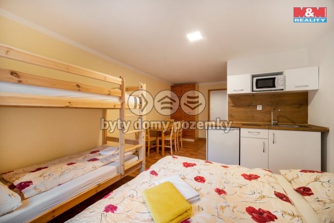 Prodej, Hotel, penzion, Bartošovice v Orlických horách