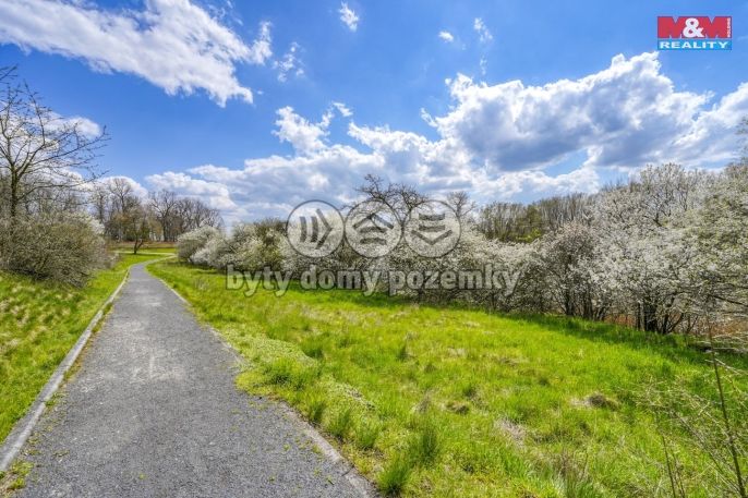 Prodej, Zahrada, Čistá